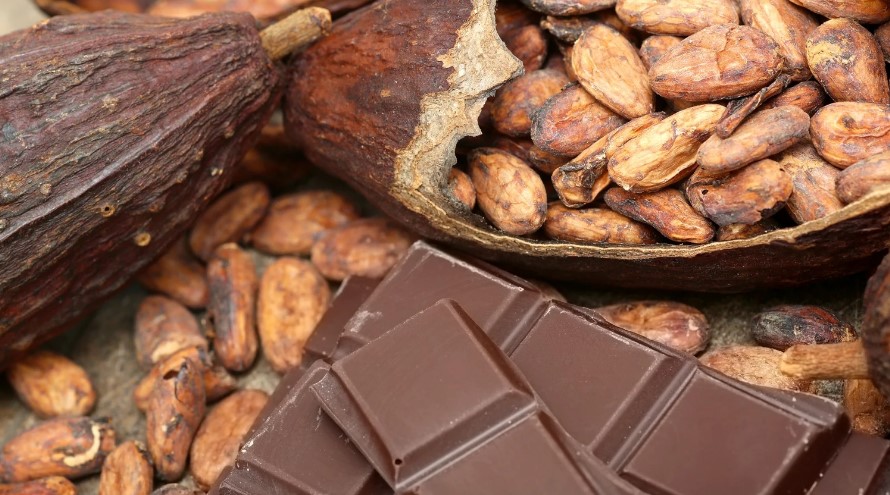 Screenshot 2026-04-30 101705